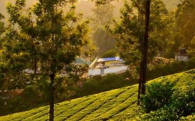 Munnar Valley View